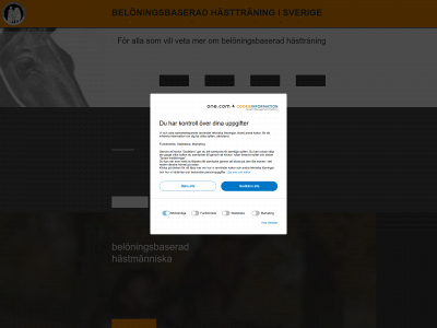 bhis.se snapshot