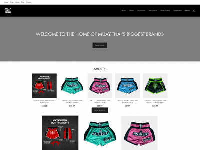 muaythaibible.com snapshot
