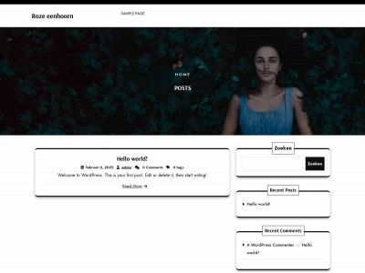 boutiquesaid.nl snapshot