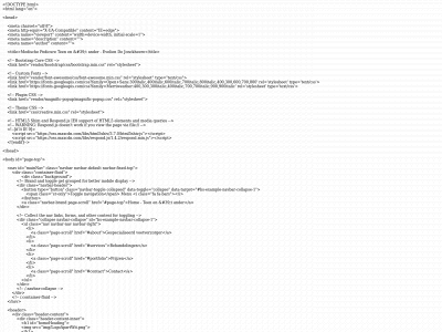 medischepedicureteenentander.be snapshot