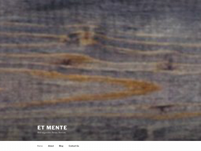 etmente.com snapshot