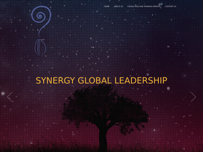 synergyglobaleadership.com snapshot
