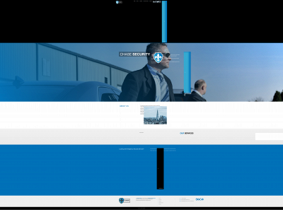 chasesecurityusa.com snapshot