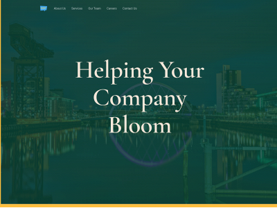 bloomsalespartners.co.uk snapshot