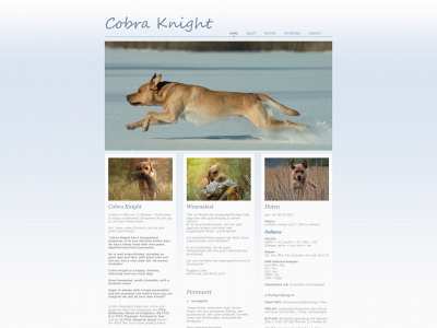 cobra-knight.de snapshot