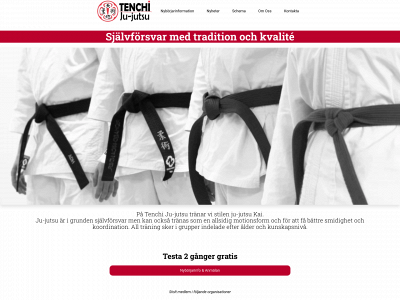 tenchijujutsu.se snapshot