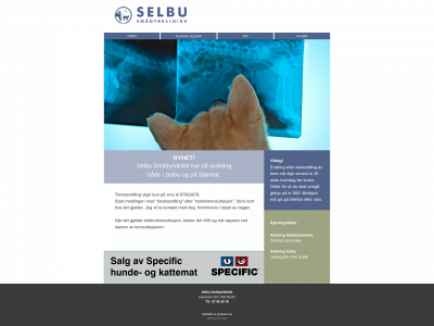 selbusmaadyrklinikk.no snapshot