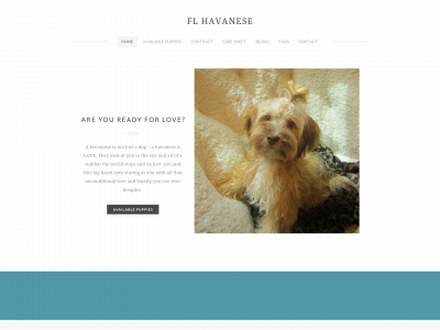 www.flhavanese.com snapshot