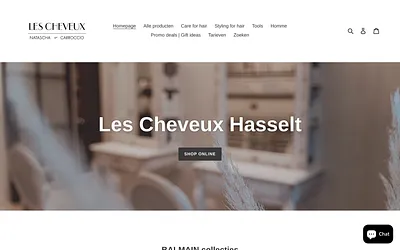 lescheveuxhasselt.be snapshot