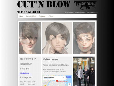 cutnblow.dk snapshot