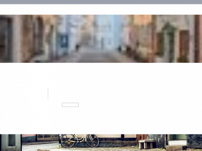 vigg.bike snapshot