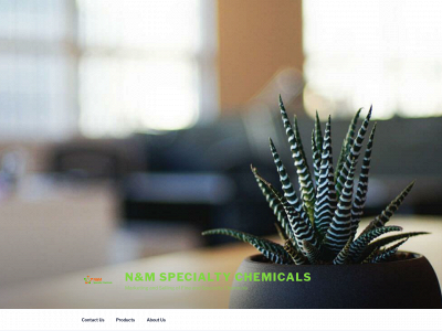 nmspecialtychemicals.com snapshot