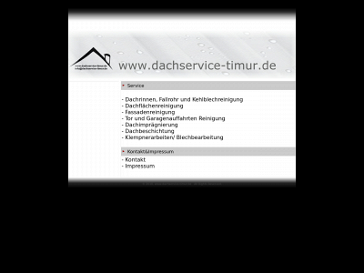 dachservice-timur.de snapshot