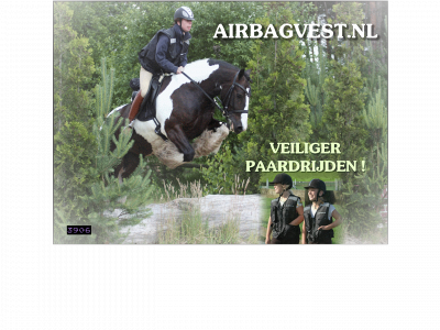 airbagvest.nl snapshot
