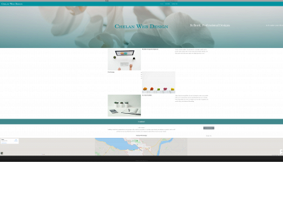 chelanwebdesign.com snapshot