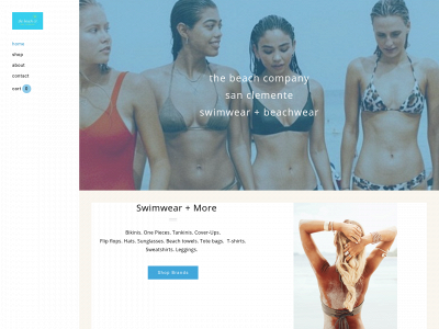 www.thebeachcompanysc.com snapshot