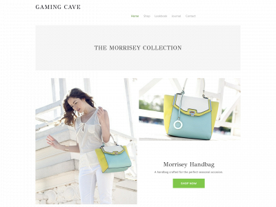 gaming-cave.weebly.com snapshot