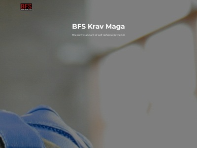 stalbans-kravmaga.co.uk snapshot