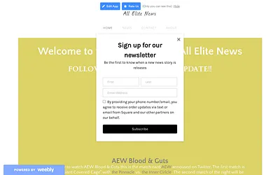 allelitenews.weebly.com snapshot