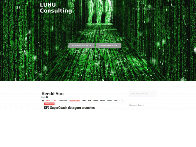 luhuconsulting.com snapshot