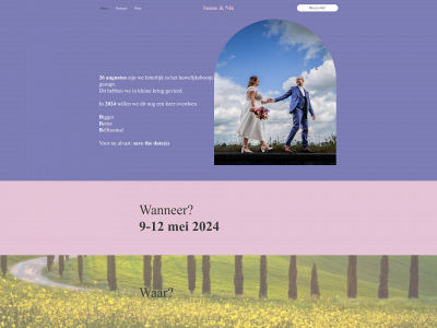 sanne-nik.wedding snapshot
