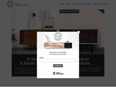 stornewyork.com snapshot