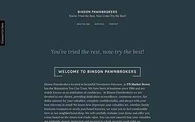 binsonpawnbrokers.com snapshot