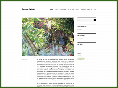 teresacadete.org snapshot