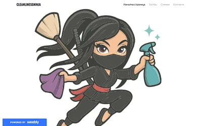cleanlinessninja.weebly.com snapshot