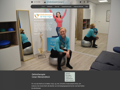 oefentherapiedevrijevogel.nl snapshot