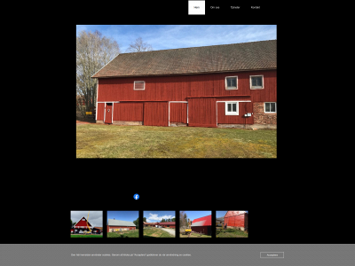 niklassprutmaleri.se snapshot
