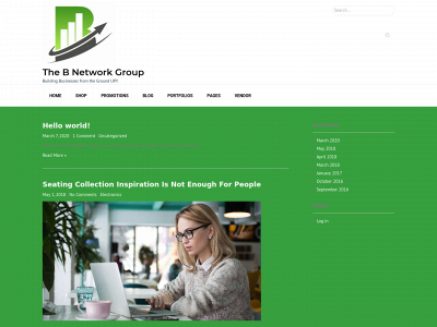 thebnetworkgroup.com snapshot
