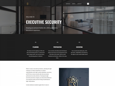 executivesecurity.dk snapshot