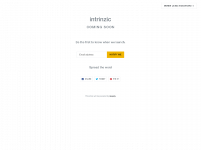 intrinzicsurf.com snapshot