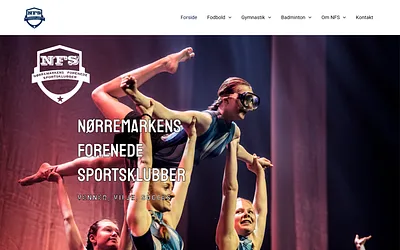 nfsvejle.dk snapshot