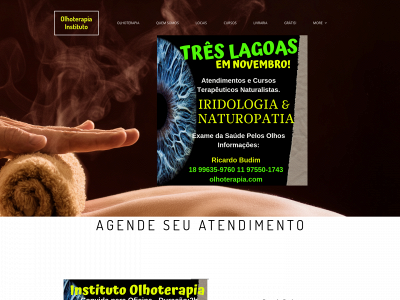 olhoterapia.com.br snapshot