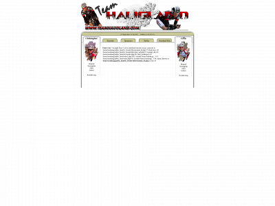 teamhaugland.com snapshot
