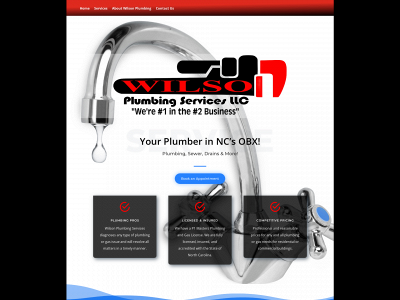 wilsonplumbingservicesobx.com snapshot