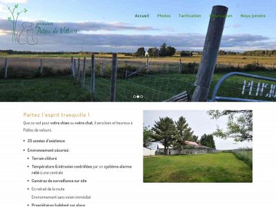 pensionpattesdevelours.ca snapshot