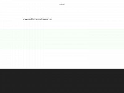 www.rapidclean.net snapshot