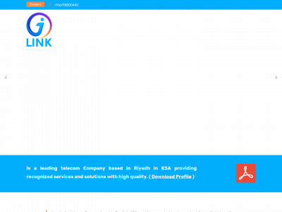 ilink-sa.com snapshot