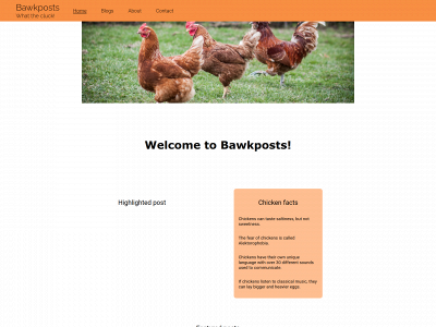 bawkposts.no snapshot