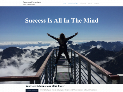 successexclusives.com snapshot