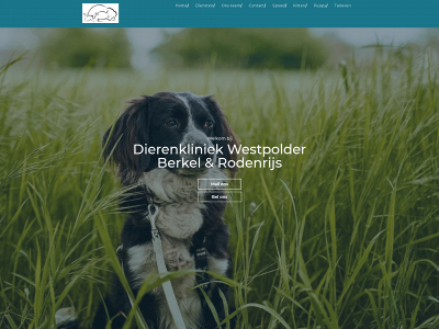 dkwestpolder.nl snapshot