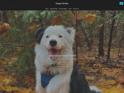 kaspersmiles.com snapshot