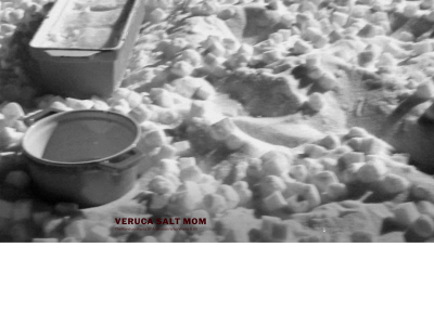 verucasaltmom.com snapshot