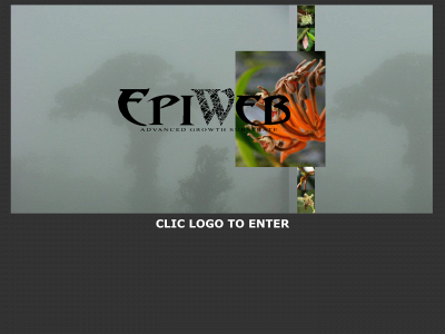 epiweb.se snapshot