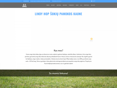 allthatswing.lt snapshot