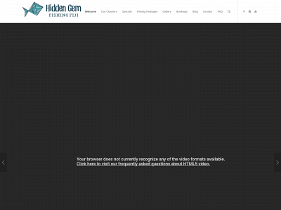 hiddengemfiji.com snapshot