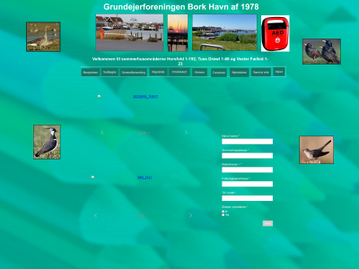 borkhavngrundejerforening.dk snapshot